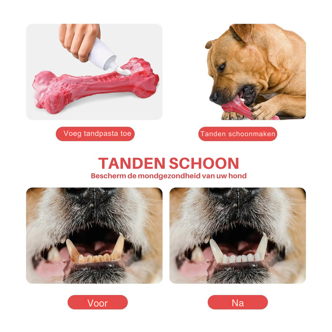 Fun Dog Dental Chew Toys