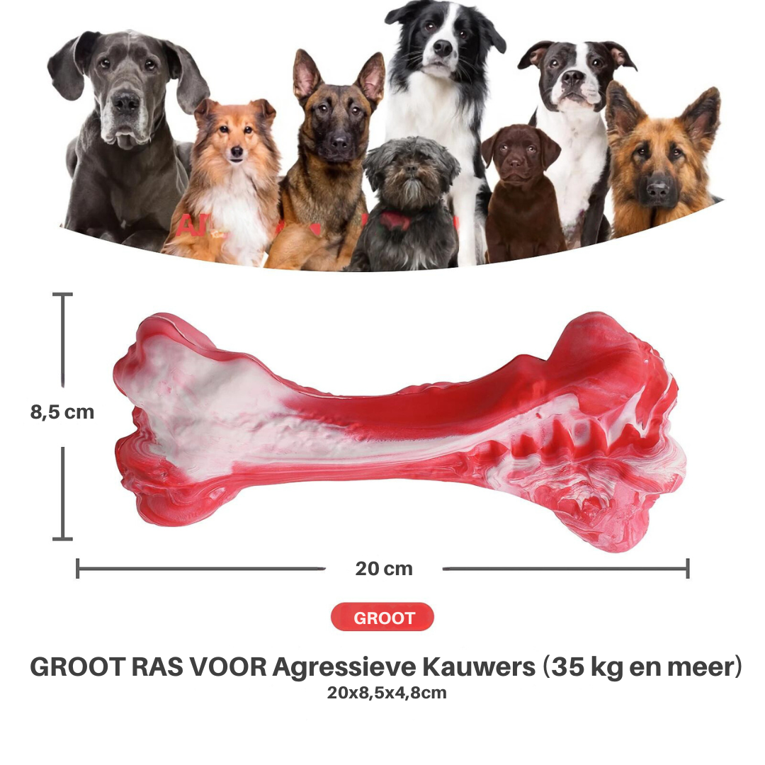 Fun Dog Dental Chew Toys