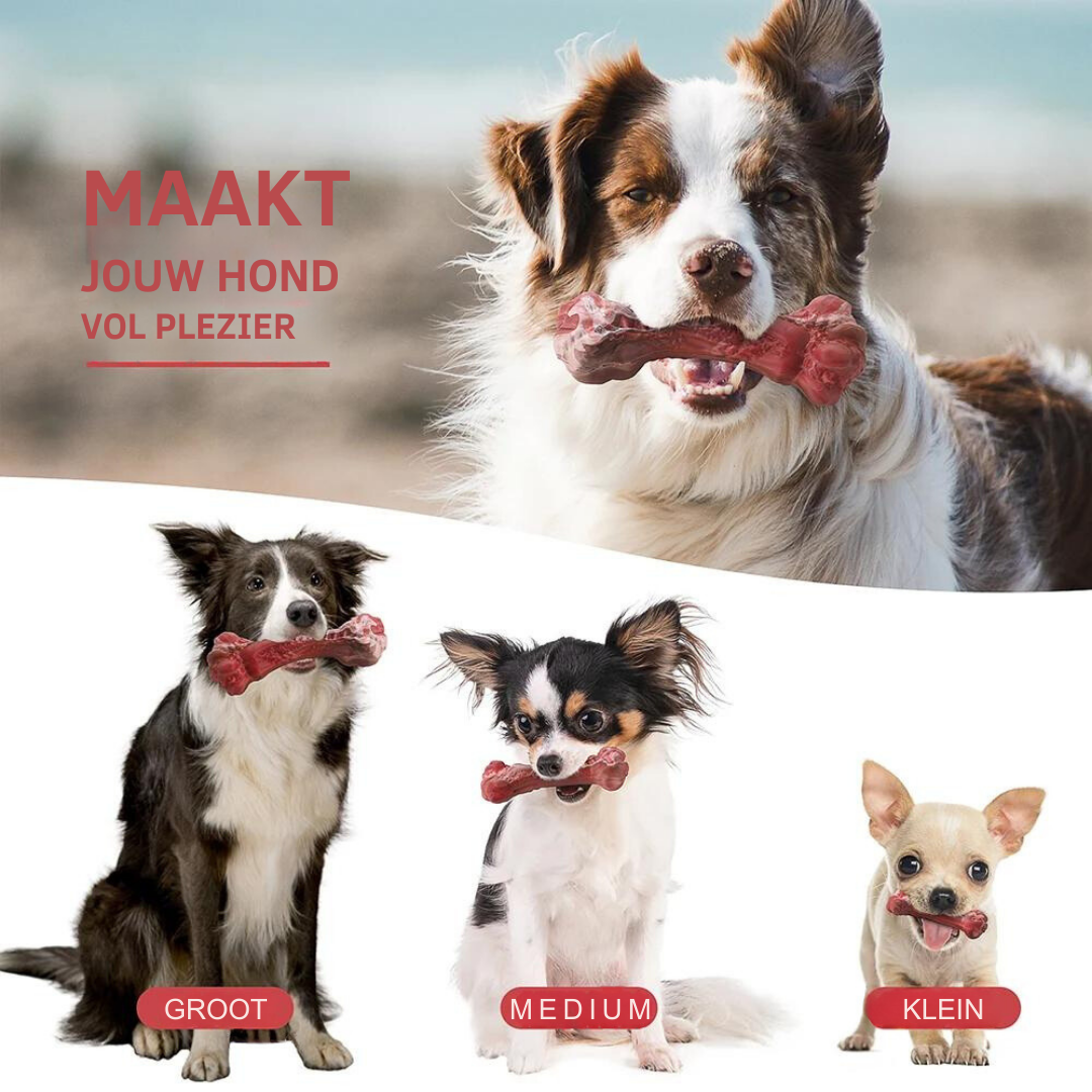 Fun Dog Dental Chew Toys - Befez