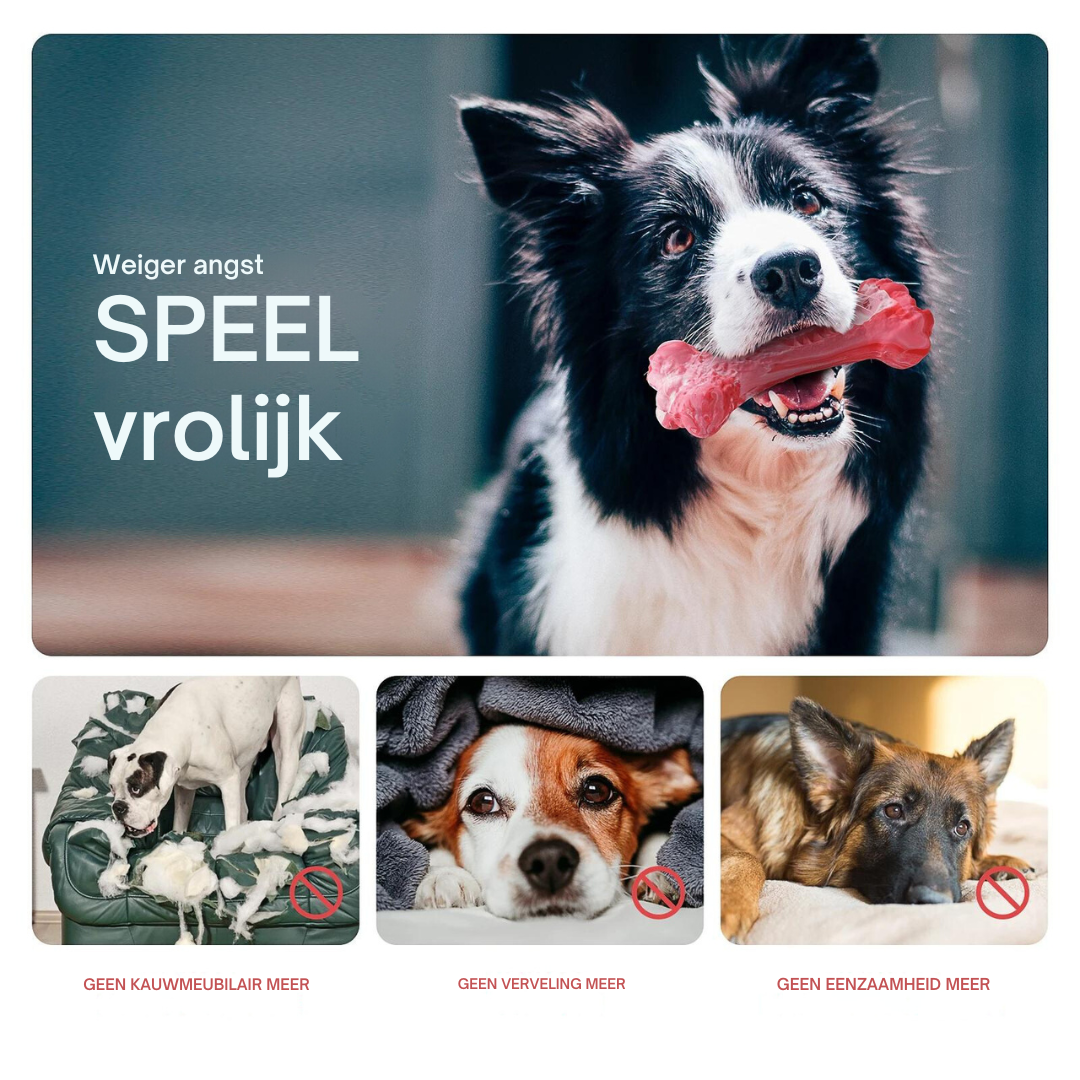 Fun Dog Dental Chew Toys