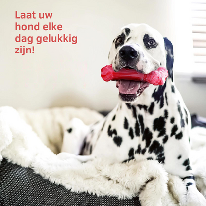 Fun Dog Dental Chew Toys