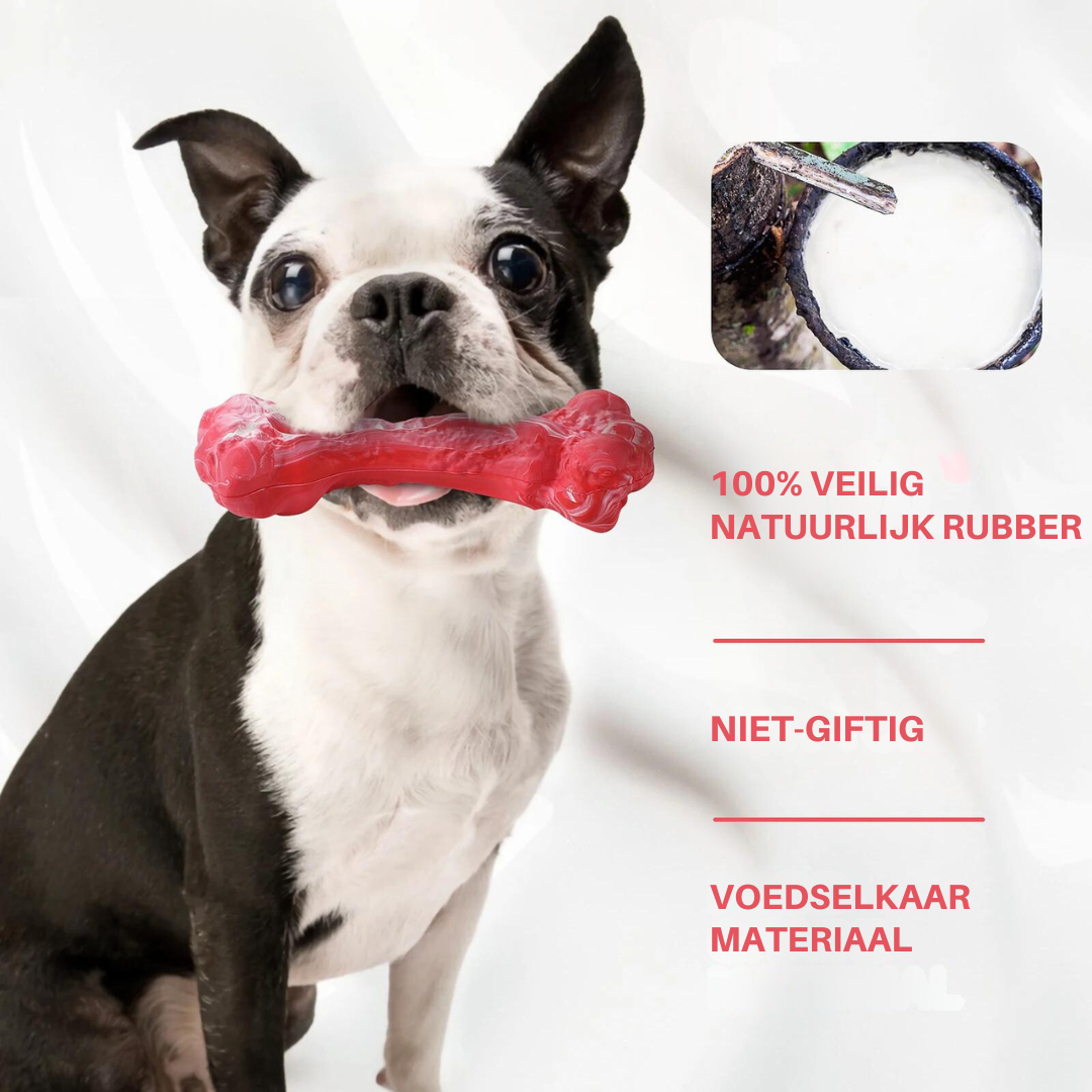 Fun Dog Dental Chew Toys