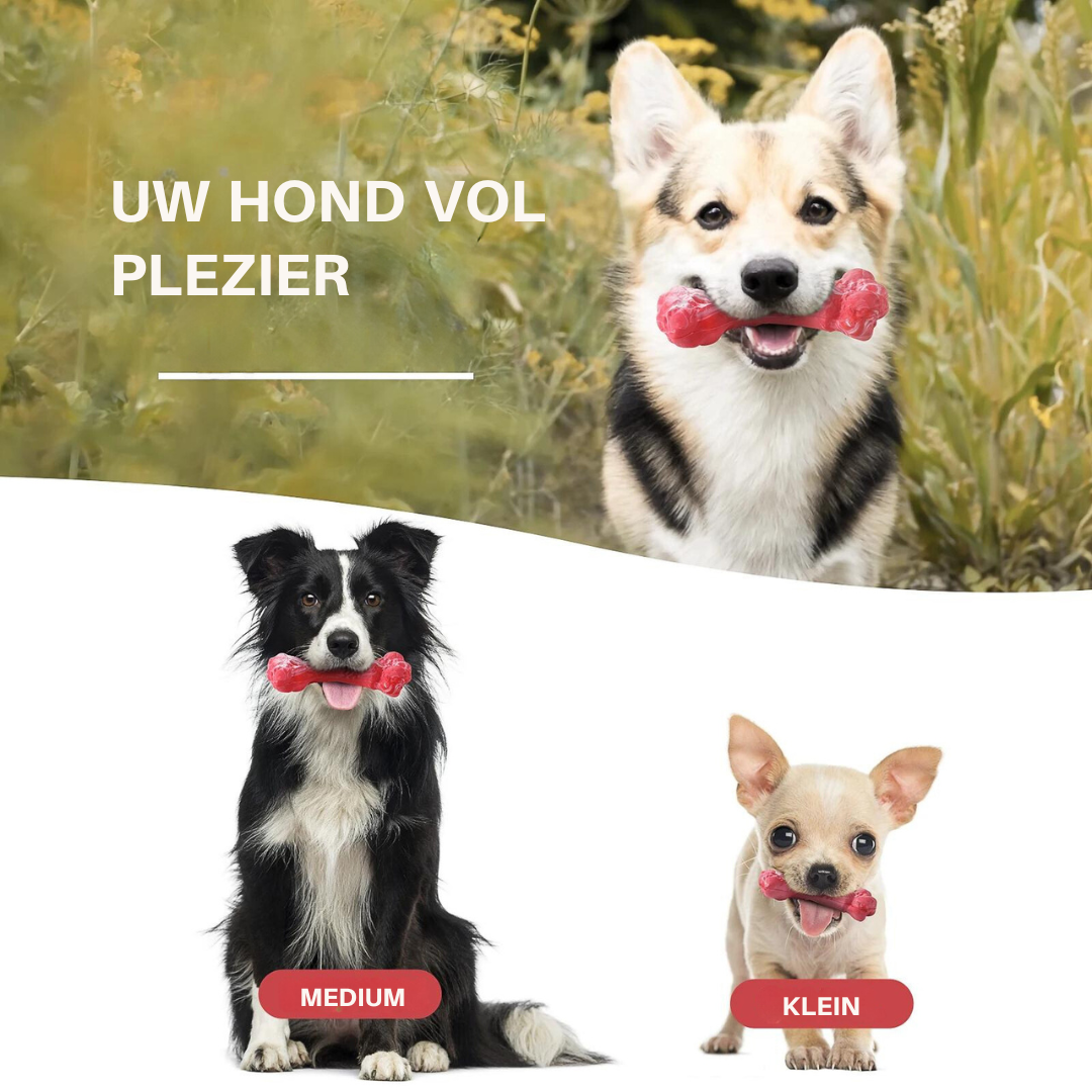 Fun Dog Dental Chew Toys