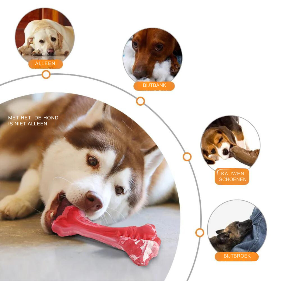 Fun Dog Dental Chew Toys