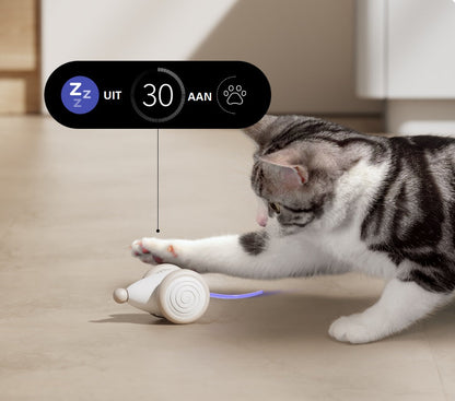 Durable Cat Toy with Tough WhiskerPlay Design