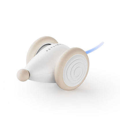 Durable Cat Toy with Tough WhiskerPlay Design