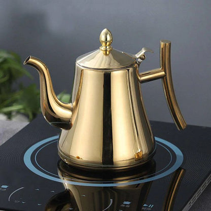 Fast Boil Induction Kettle with Filter Stainless Steel