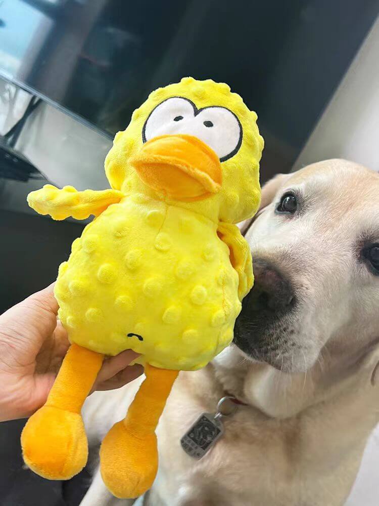 Fun Dog Chew Toy Set