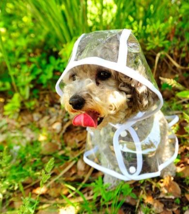 Breathable Water Resistant Dog Rain Jacket