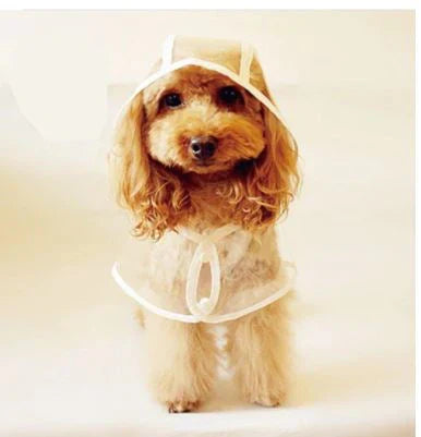 Breathable Water Resistant Dog Rain Jacket - Befez