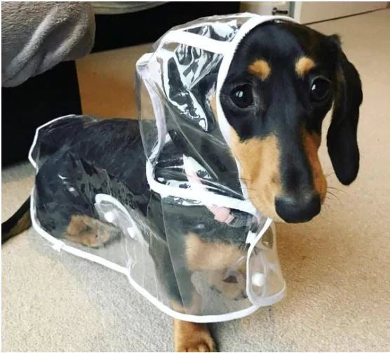 Breathable Water Resistant Dog Rain Jacket