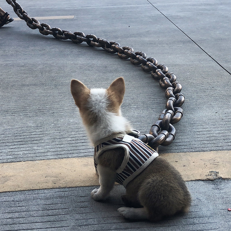 Colorful Pet Dog Leash