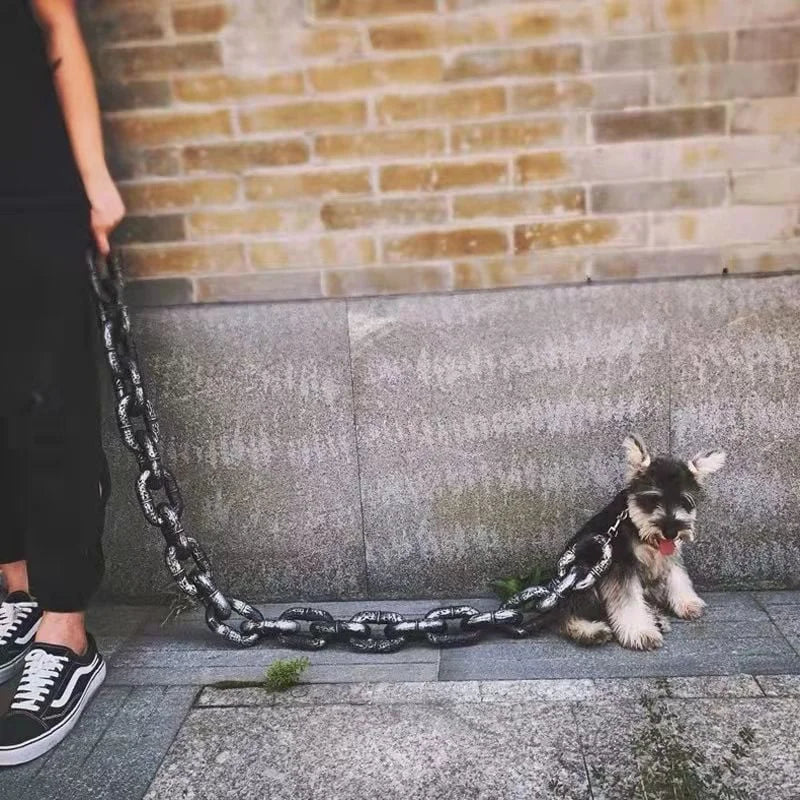Colorful Pet Dog Leash