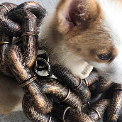 Colorful Pet Dog Leash