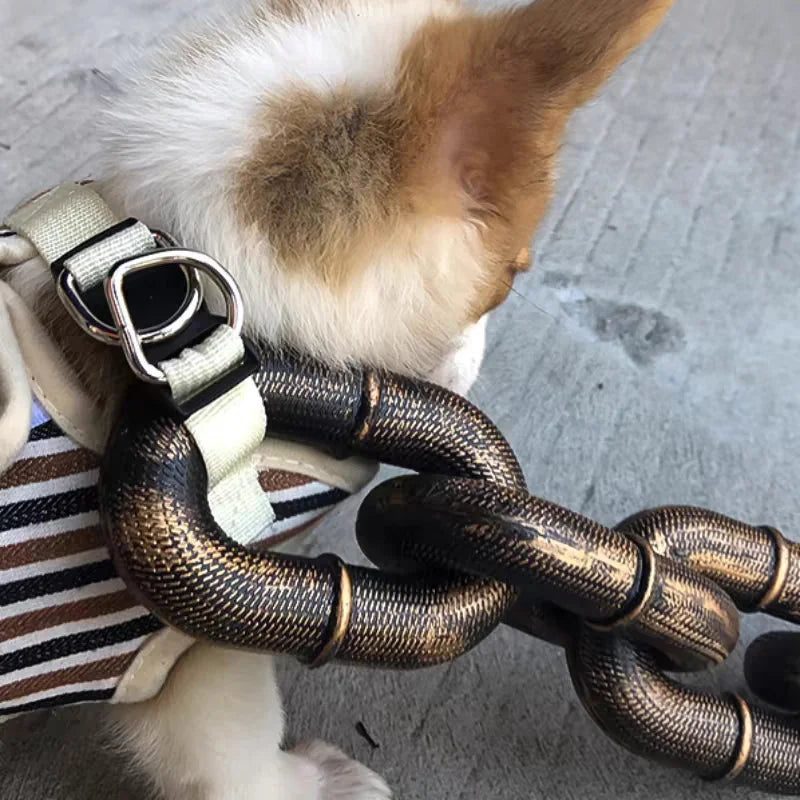 Colorful Pet Dog Leash