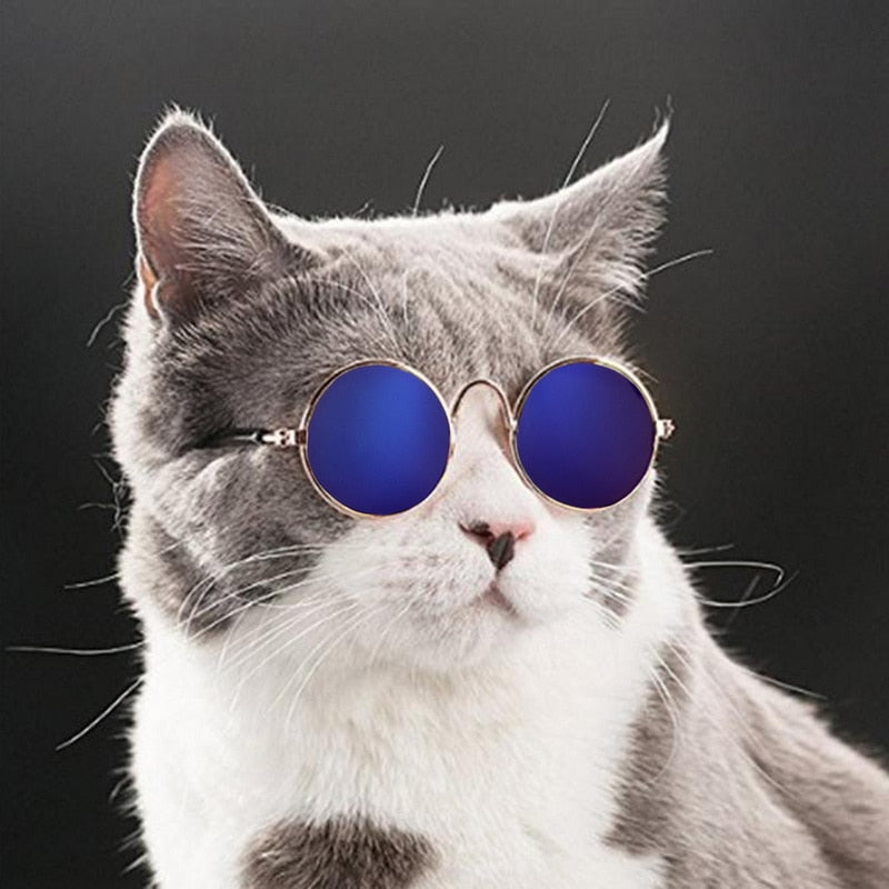 Fashionable Pet Cat Shades