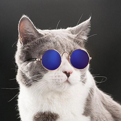 Fashionable Pet Cat Shades