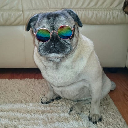 Fashionable Pet Cat Shades