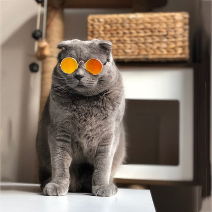 Fashionable Pet Cat Shades