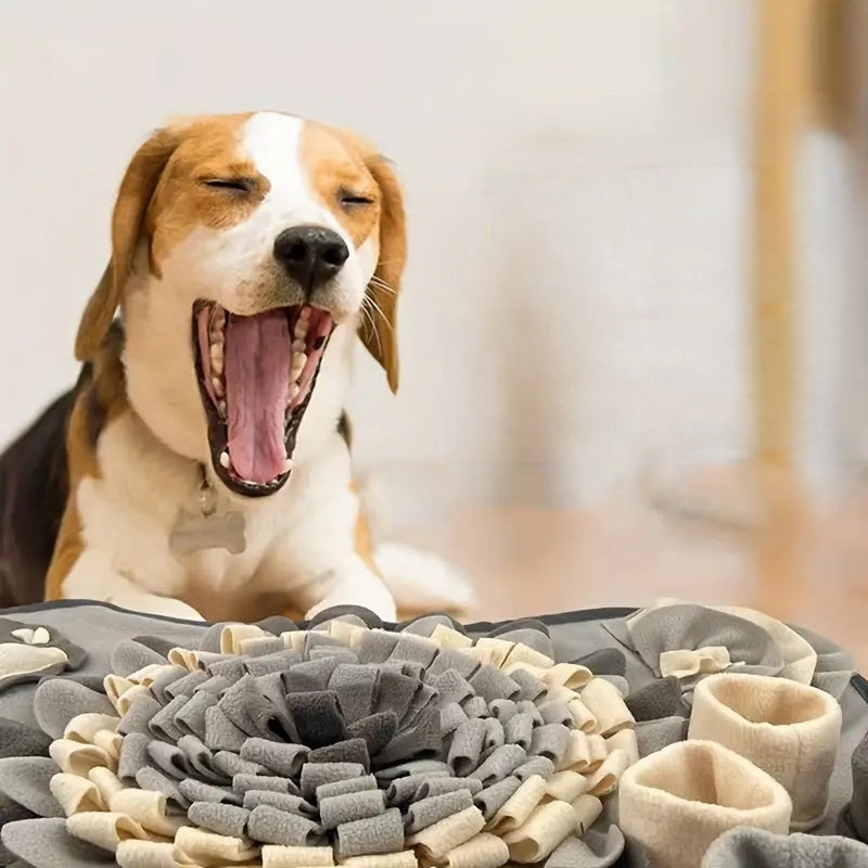 Interactive Dog Snuffle Mat Toy