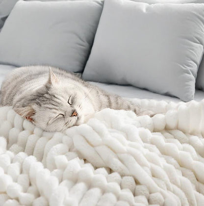 Soft Plush Fleece Blanket Twin Set