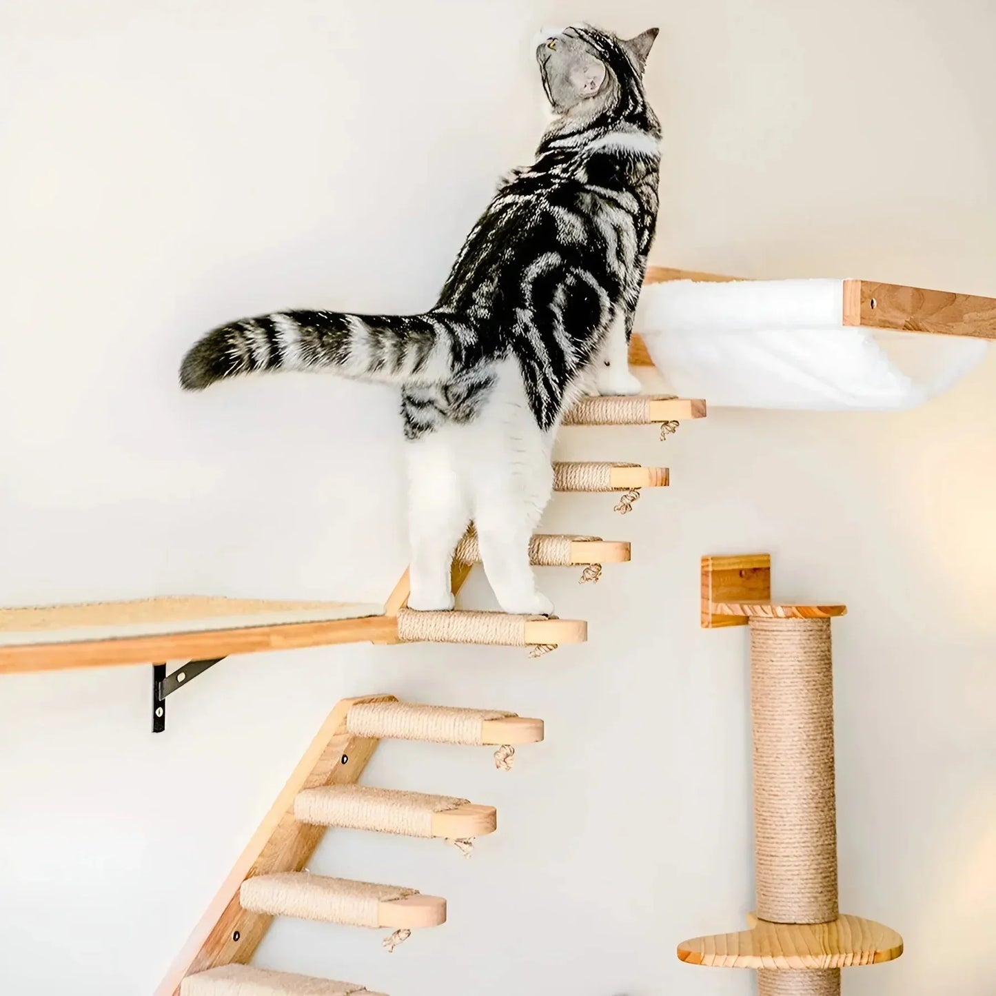 Sturdy Cat Climbing Wall Shelf - Befez