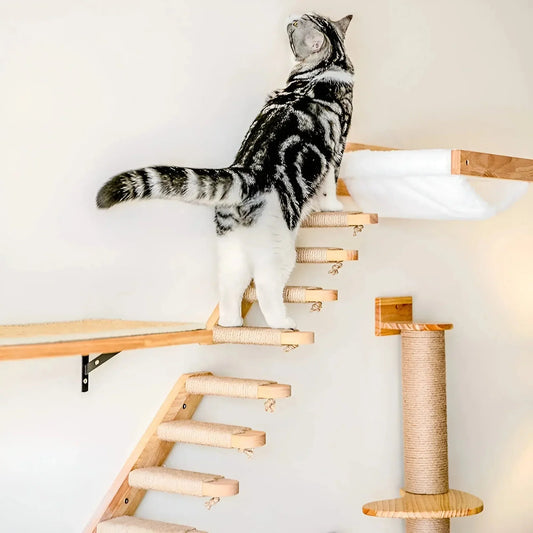 Sturdy Cat Climbing Wall Shelf - Befez