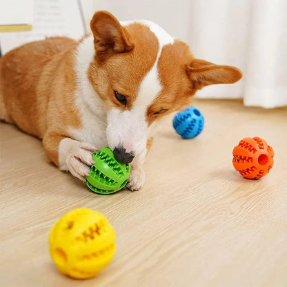 Healthy Dog Dental Chew Toy Ball
