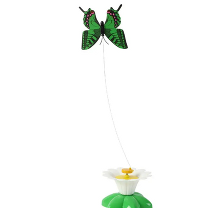 Colorful Interactive Cat Toy Befez