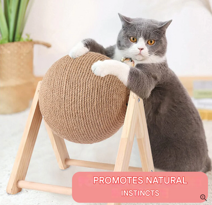 Fun Interactive Cat Play Toy