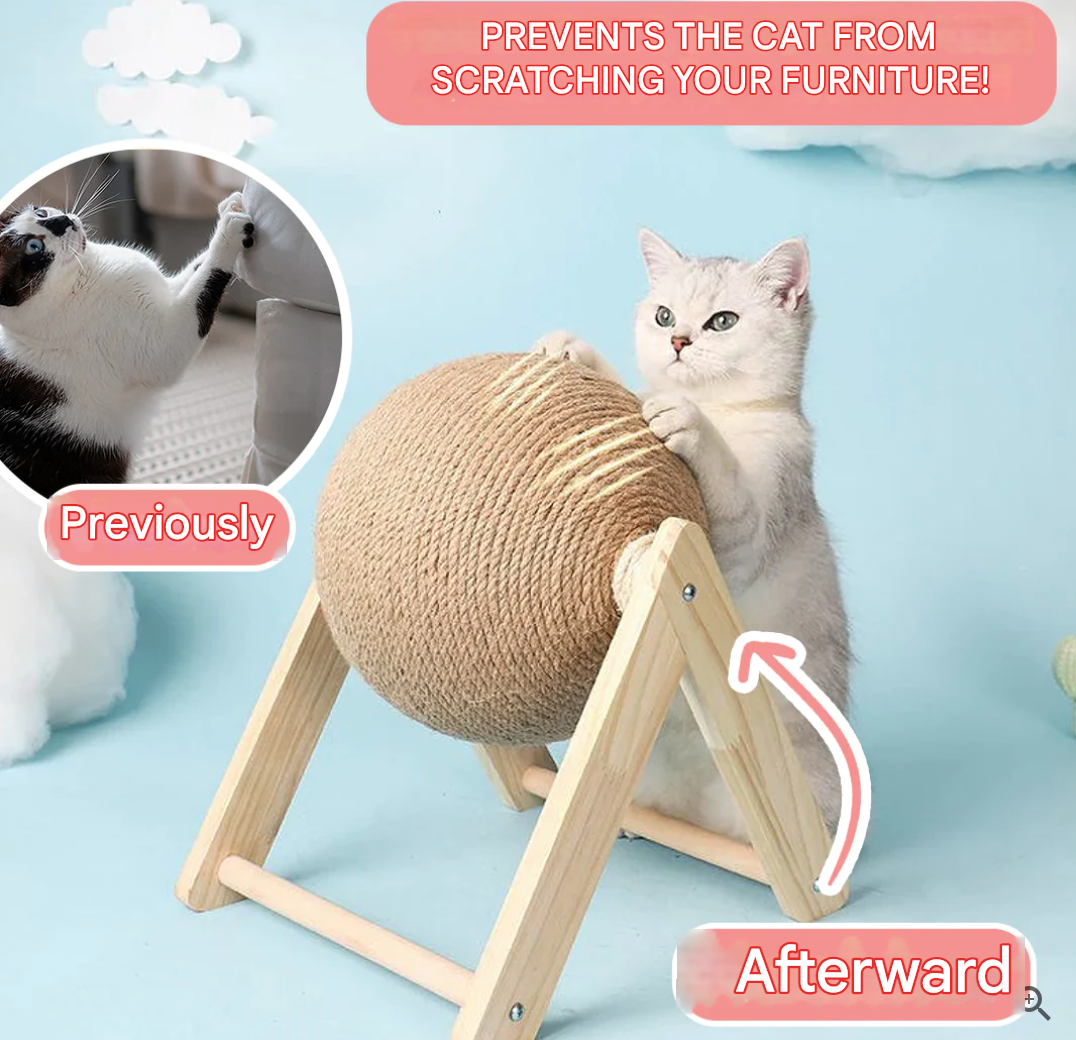 Fun Interactive Cat Play Toy