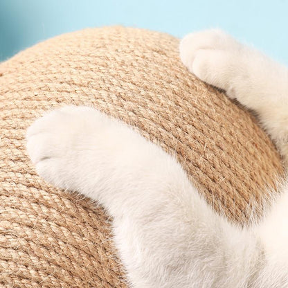 Fun Interactive Cat Play Toy