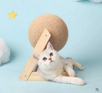 Fun Interactive Cat Play Toy