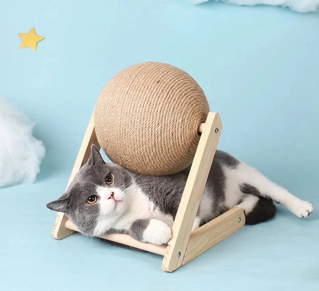 Fun Interactive Cat Play Toy