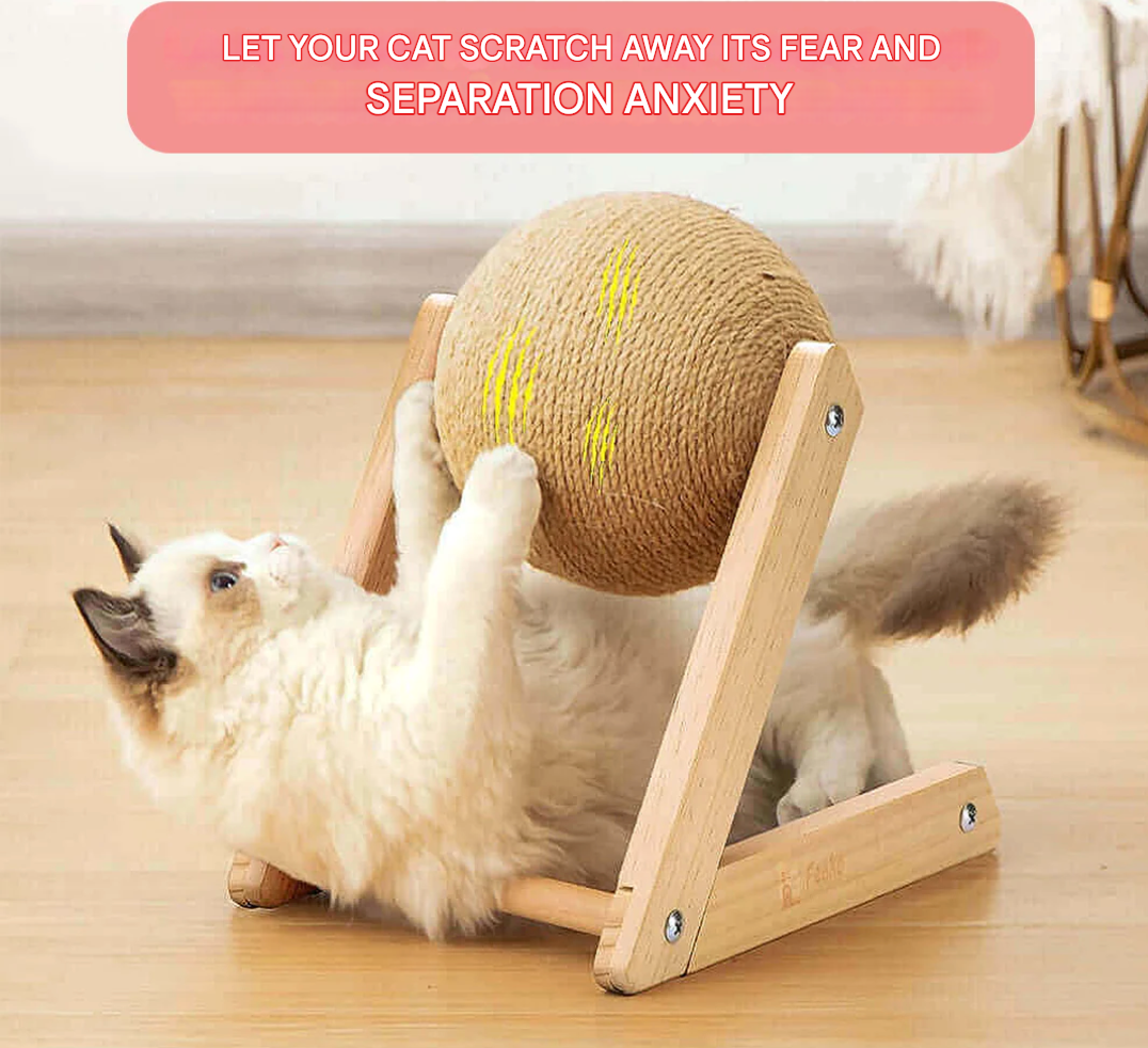 Fun Interactive Cat Play Toy