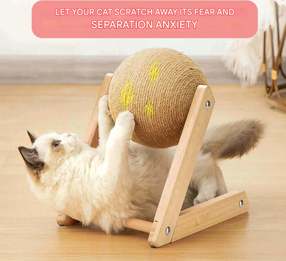 Fun Interactive Cat Play Toy