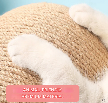 Fun Interactive Cat Play Toy