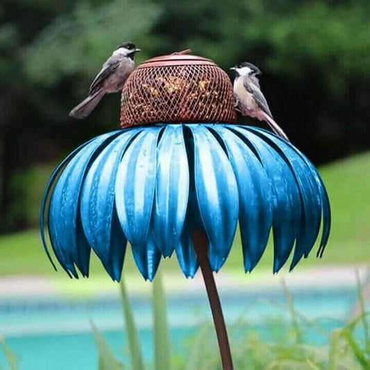 Colorful Bird Feeder for Small Birds - Befez