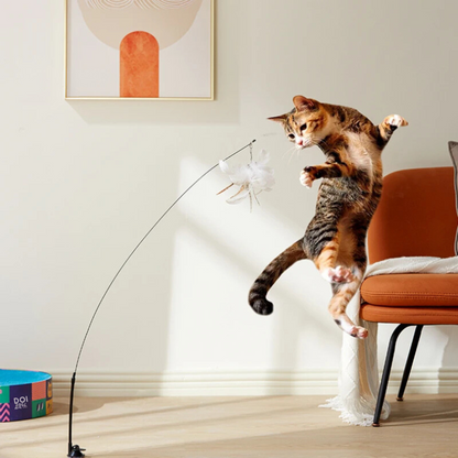 Fun Feather Cat Teaser Toy