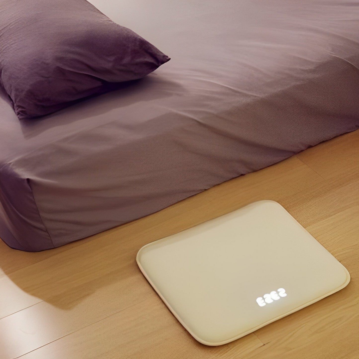 Intelligent Wi-Fi Door Mat Alarm Clock Rug