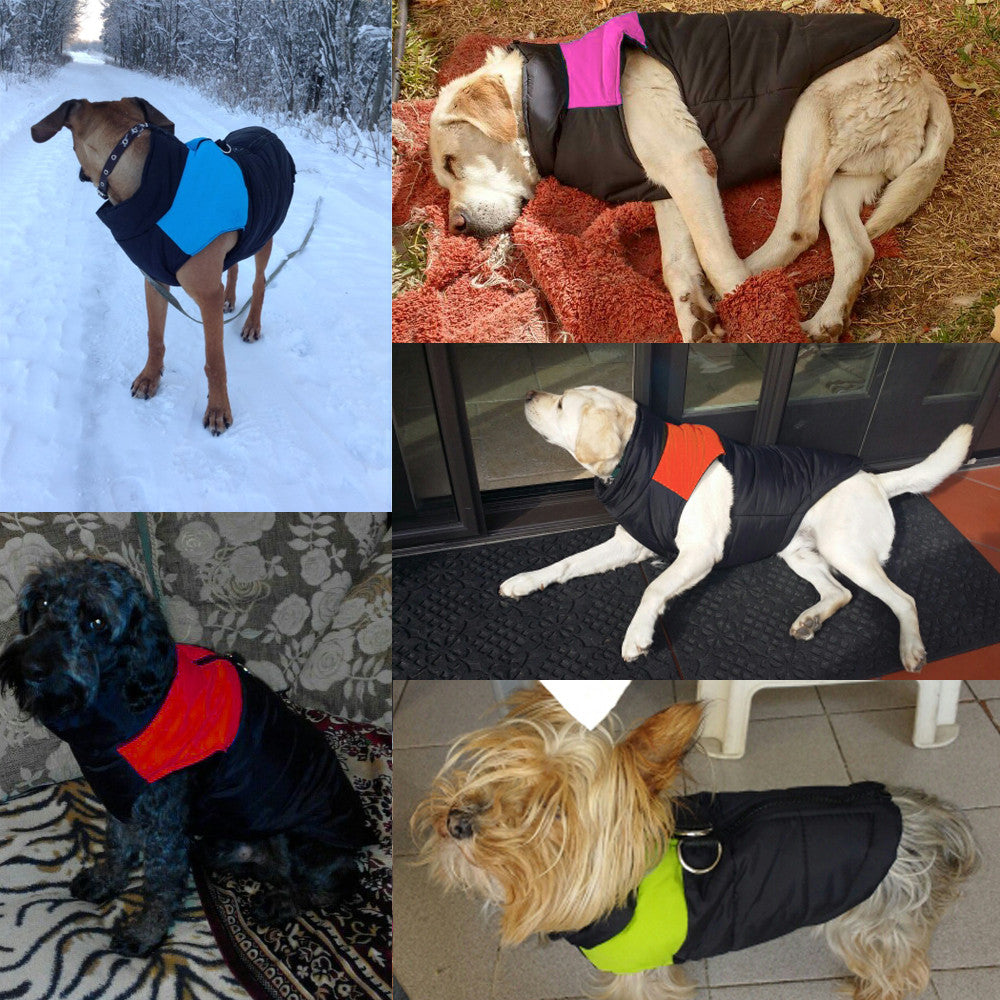 Waterproof Insulated Dog Jacket - Befez