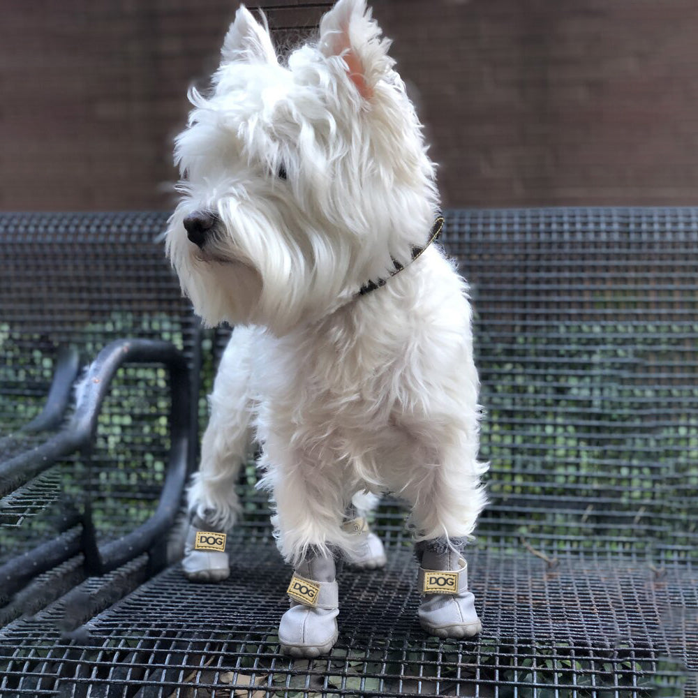 Waterproof Dog Winter Boots - Befez