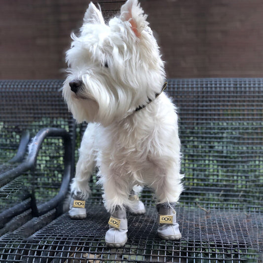 Waterproof Dog Winter Boots - Befez