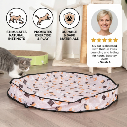 Fun Conceal and Seek Kitty Play Toy