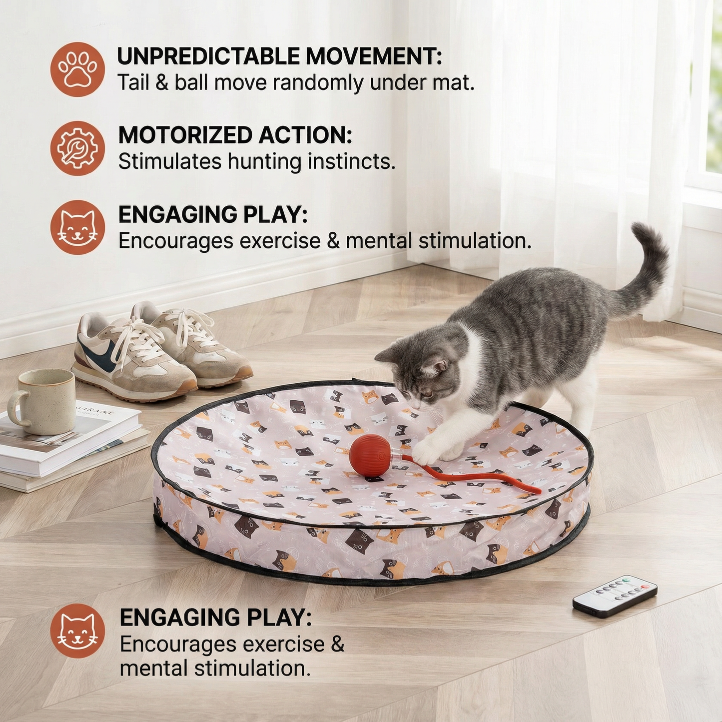 Fun Conceal and Seek Kitty Play Toy