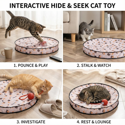 Fun Conceal and Seek Kitty Play Toy