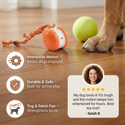 Fun Rubber Dog Toy Ball with Rope