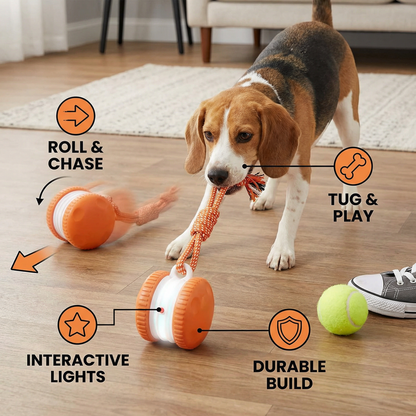 Fun Rubber Dog Toy Ball with Rope
