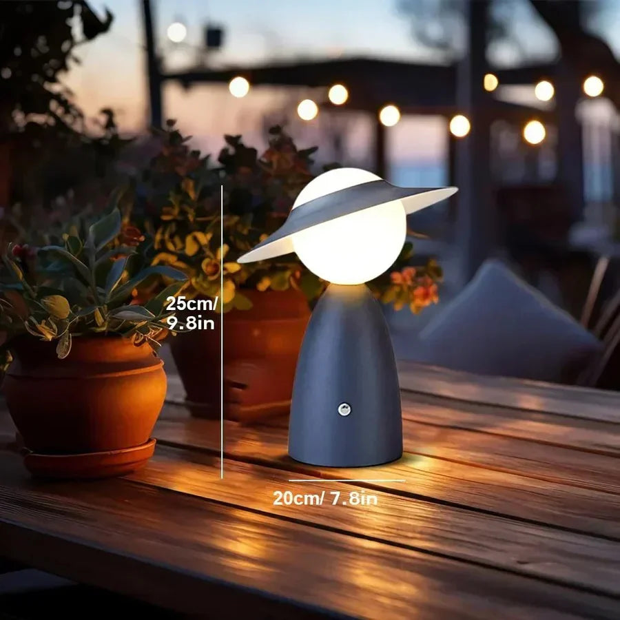 Portable LED Desk Light