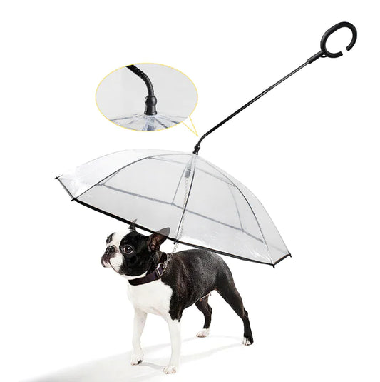 Waterproof Pet Friendly Umbrella - Befez